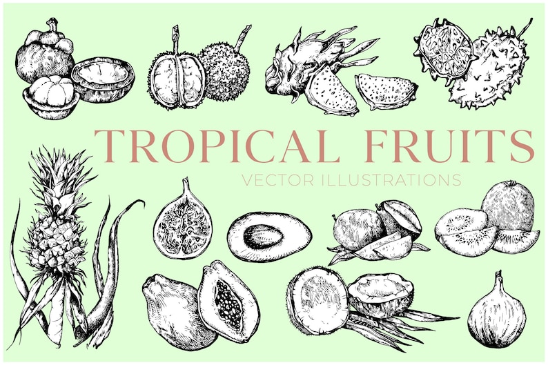 Puede incluir: Una ilustraci&oacute;n en blanco y negro de varios frutos tropicales, incluyendo pi&ntilde;a, papaya, higos, fruta de drag&oacute;n, aguacate, mangost&aacute;n y carambola. La ilustraci&oacute;n est&aacute; sobre un fondo verde claro e incluye el texto "FRUTAS TROPICALES ILUSTRACIONES VECTORIALES".