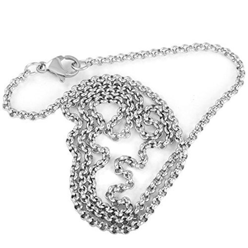 Pet Memorial Jewelry Urn Pendant Keepsake Paw Print Series Pet Memorial Cremation Jewelry for Dog or Cat Ashes Open Heart with Wing
