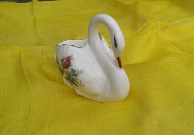 red swan prince albert red swan prince albert