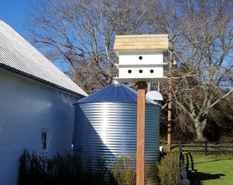 Purple Martin Birdhouse
