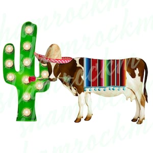 Cinco de Mayo Cow, png images with transparent background, high resolution 300 dpi