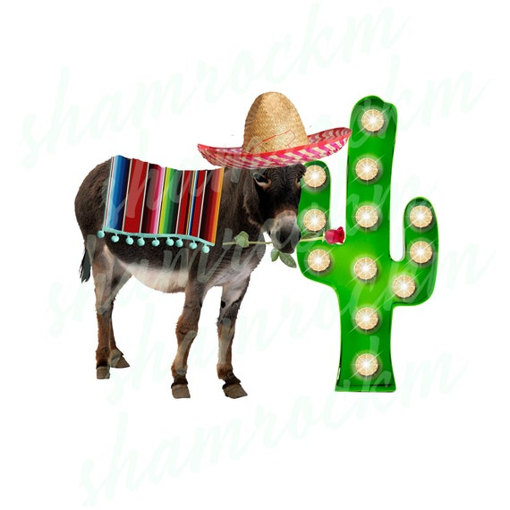 Cinco De Mayo Donkey Png Images With Transparent Background Etsy