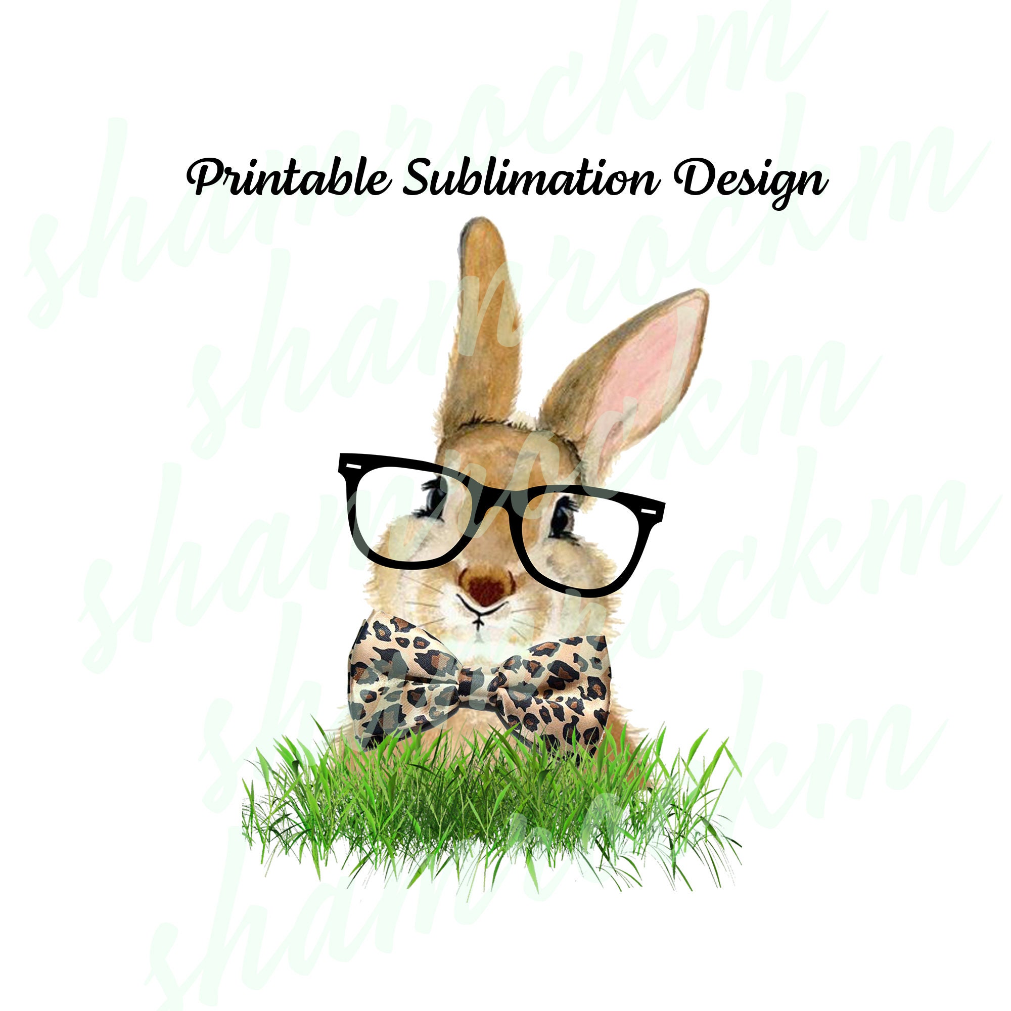 Buy Cool Bunny 3, Png Images With Transparent Background, High Resolution  300 Dpi Online in India - Etsy