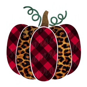 Leopard and plaid pumpkin,  png images with transparent background, high resolution 300 dpi