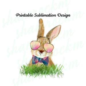 Cool Bunny 4, png images with transparent background, high resolution 300 dpi