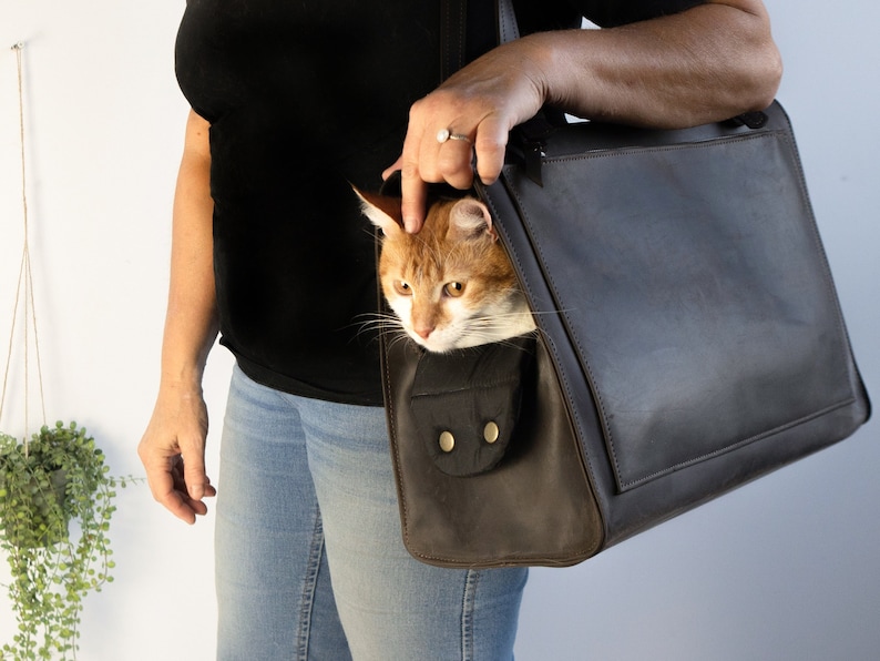 May include: A brown leather pet carrier with a cat peeking out of the top. The carrier has a flap that can be closed to keep the pet secure.
