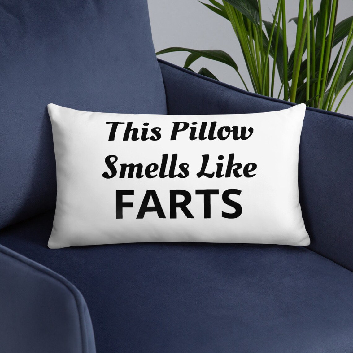 This Pillow Smells Like Farts Etsy