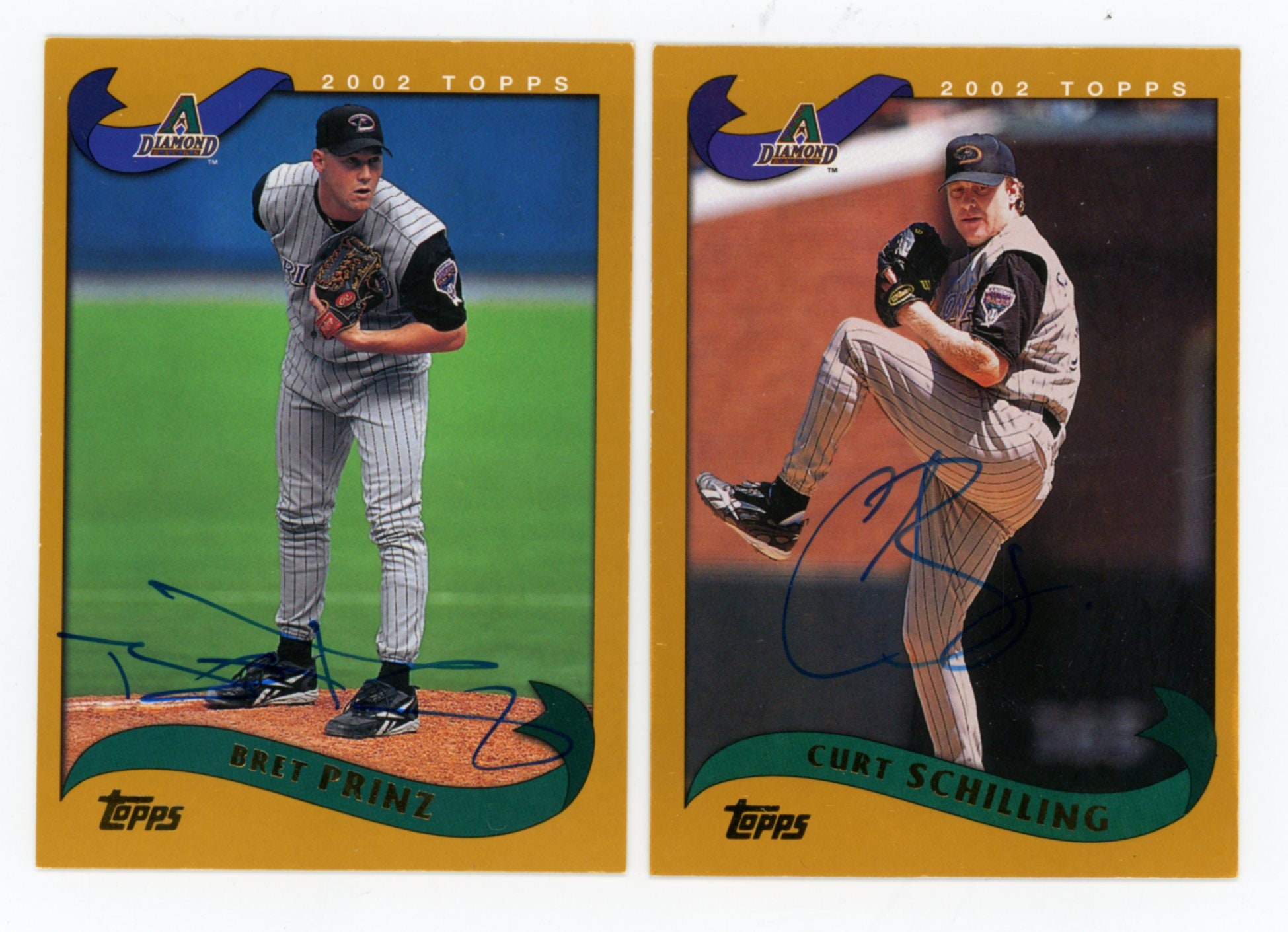 Autographed 2002 Topps Arizona Diamondbacks (pitchers): Curt