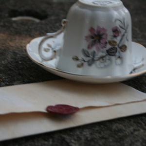 Letter subscription - two months of twice-monthly letters between Robert and Edith (four letters total)