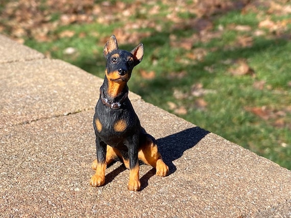 Doberman shop life jacket