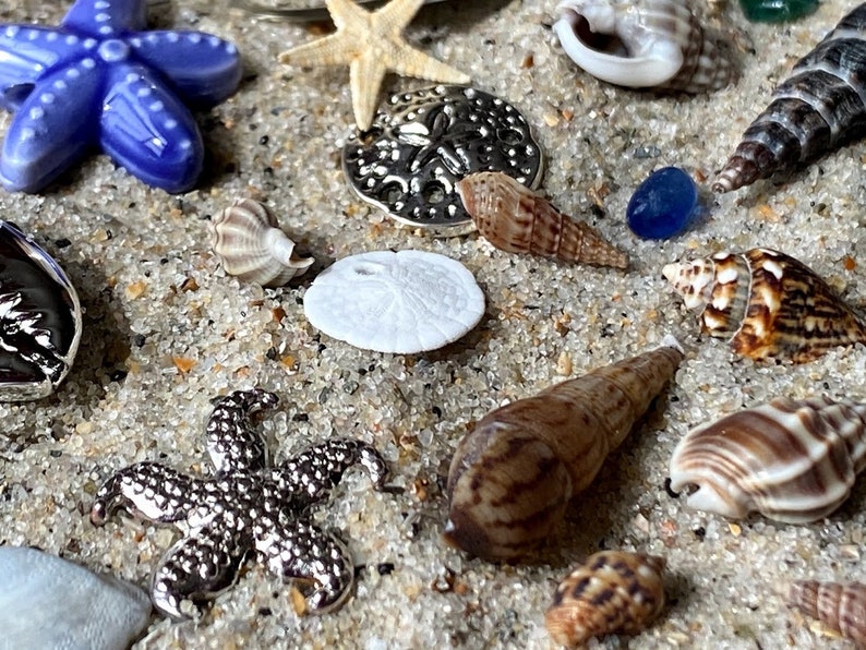 Filled Beach Jar w Starfish and Shells All Through the House Dollhouse Miniature