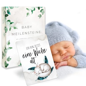 40 Baby Meilensteinkarten Postkarten Meilenstein Kartenset inkl. Geschenkbox, Geschenkidee zur Geburt & Babyparty // HEJ.CREATION