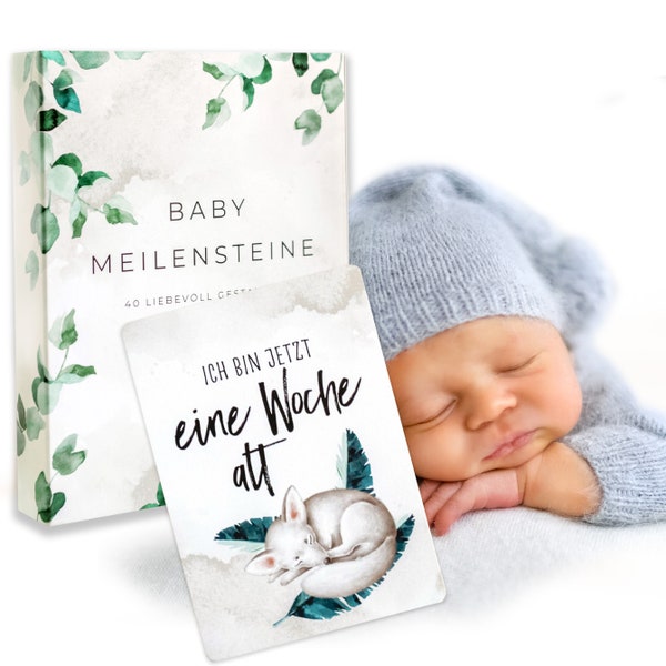 40 Baby Meilensteinkarten Postkarten Meilenstein Kartenset inkl. Geschenkbox, Geschenkidee zur Geburt & Babyparty // HEJ.CREATION