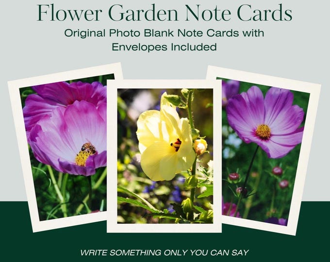 Floral Photo Note Cards: Set of 6 Blank Greetings Cards