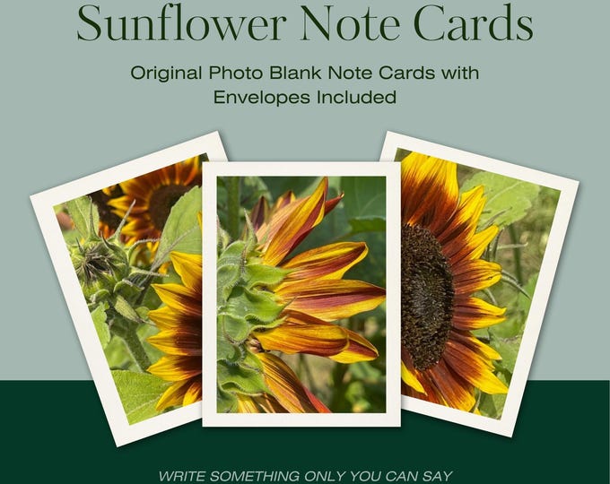 Handmade Sunflower Photo Note Cards/ 5x7 Blank Card with Envelope/ Photography Greeting Card