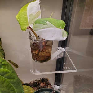 Milsbo &quot;Floating&quot; Single-Corner Acrylic Shelf - 3/8&quot; clear - Ikea Greenhouse