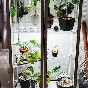 Estantes altos de acrílico Milsbo de 3/8" de grosor