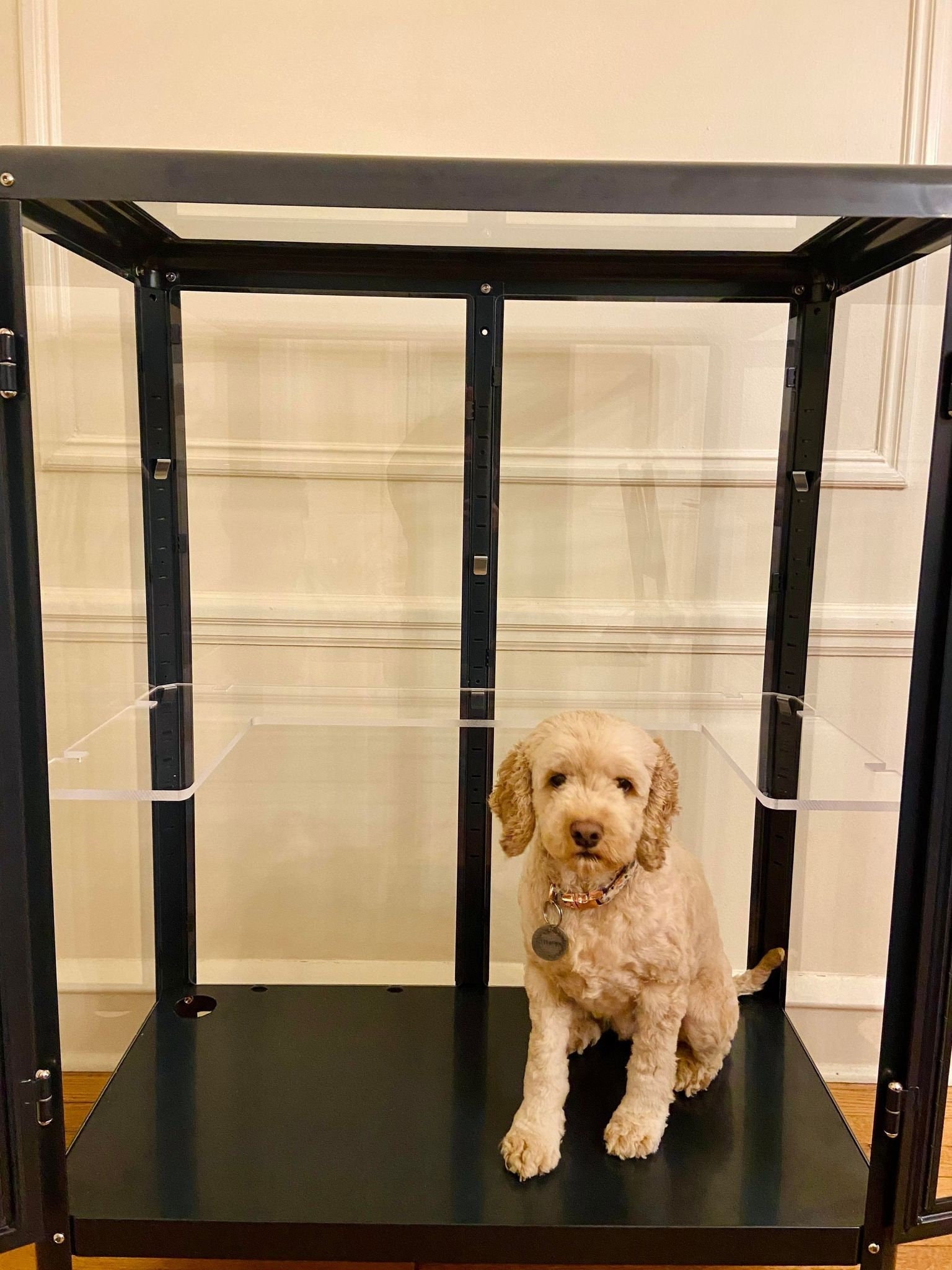 Fabrikor Wide Acrylic Shelves 3/8