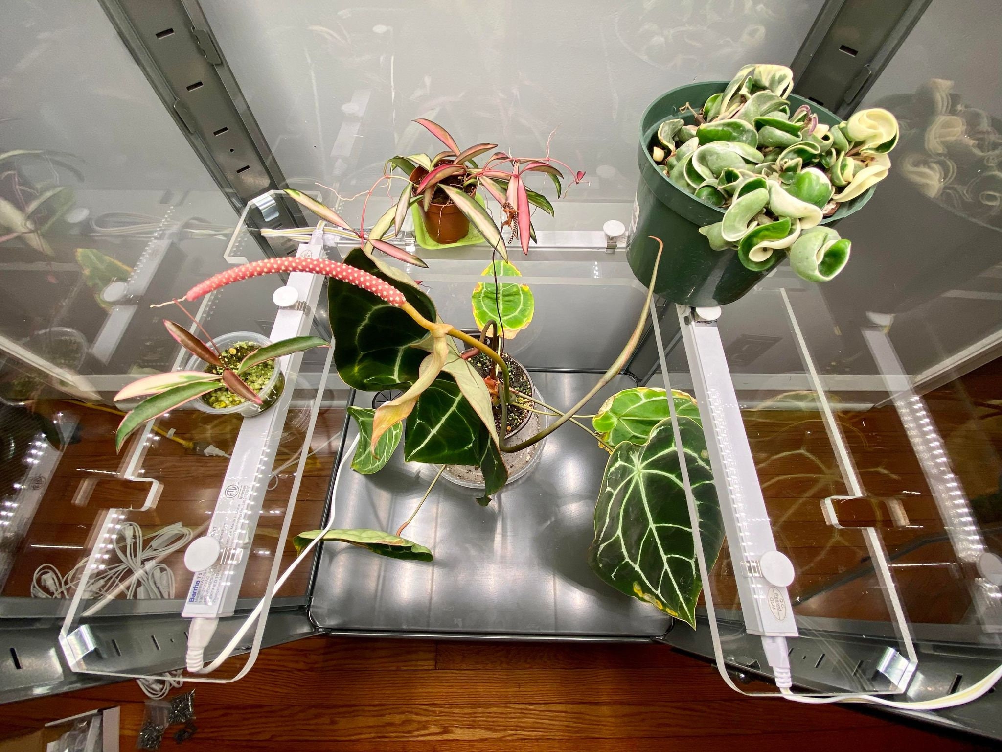 Fabrikor Tall Acrylic Shelves - 3/8