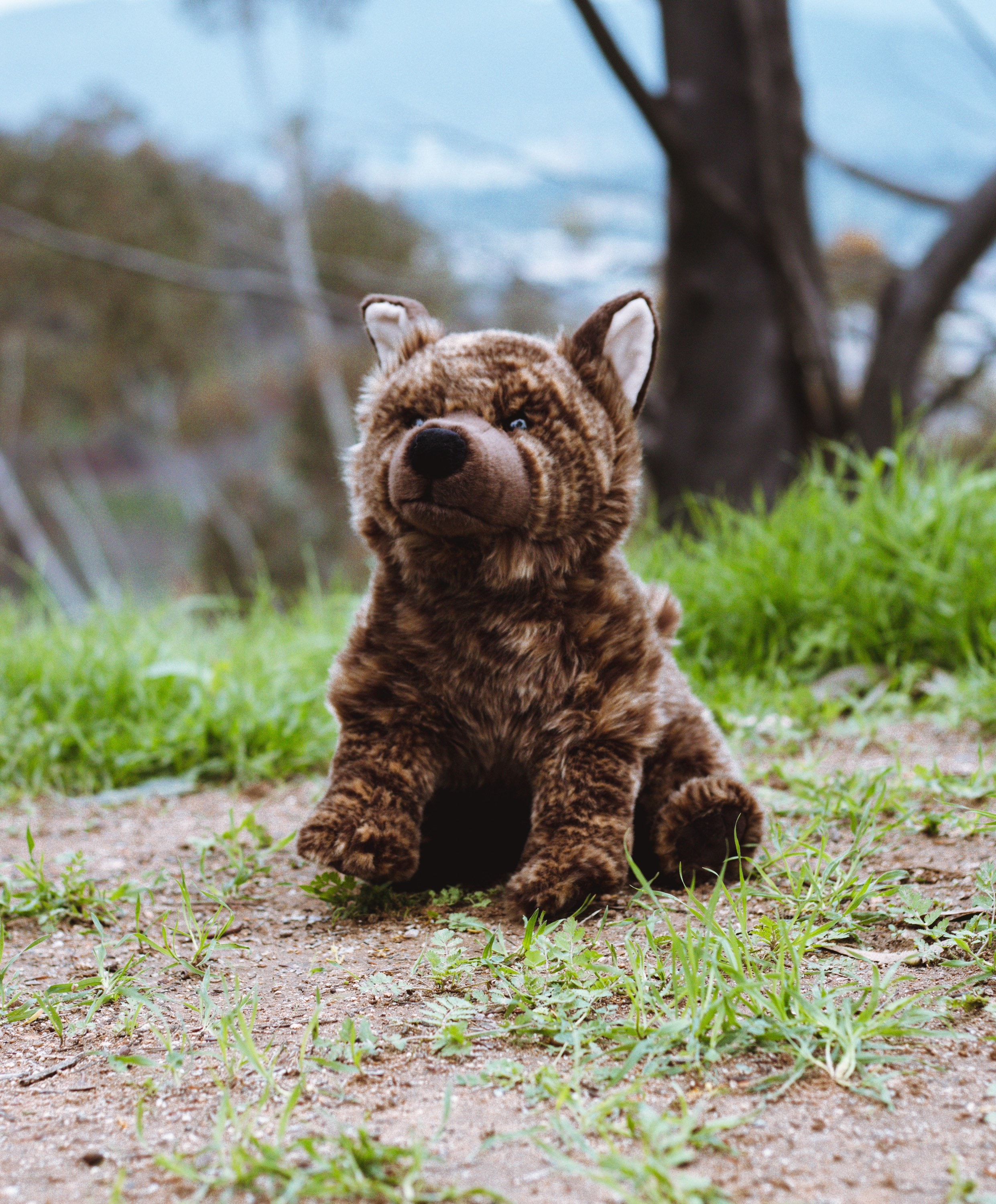 ゼガプライズ　キー KEY ぬいぐるみ&アクキーセット Amazon.com: ZHONGXIN MADE Little Kiwi Bird Plush Toy - Realistic