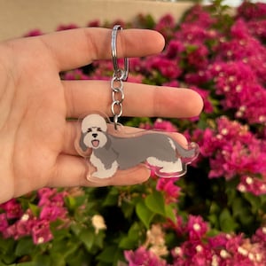 Dandie Dinmont Terrier Dog 2.5in Acrylic Keychain