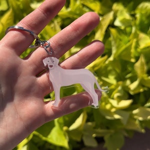 Rajapalayam dog best sale online
