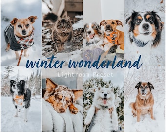 Winter Wonderland (Desktop und Mobile Lightroom Single Preset für Instagram, Influencer, Haustiere, Hunde, Katzen)