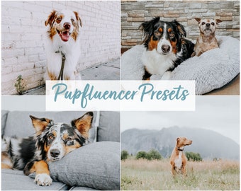 Pupfluencer Presets (5 Desktop und Mobile Lightroom Presets für Instagram, Pets, Dogs, Cats, Influencer, People)