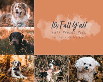 It’s Fall Y’all (6 Desktop und Mobile Lightroom Presets für Instagram, Pets, Dogs, Cats, Influencers, People)