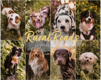 Ländliche Straßen (Desktop und Mobile Lightroom Single Preset für Instagram, Haustiere, Hunde, Katzen)
