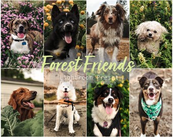 Forest Friends (Desktop und Mobile Lightroom Single Preset für Instagram, Haustiere, Hunde)