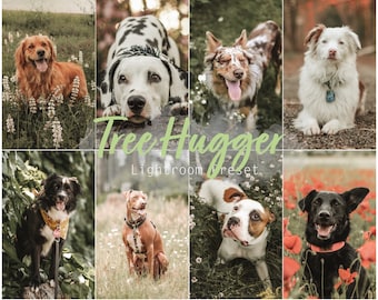 Tree Hugger (Desktop und Mobile Lightroom Single Preset für Instagram, Haustiere, Hunde)
