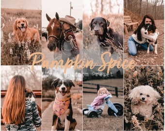 Pumpkin Spice (Einzelnes Desktop und Mobile Lightroom Preset für Instagram, Haustiere, Hunde, Katzen, Influencer, Menschen)