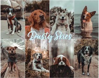 Dusty Skies (Desktop und Mobile Lightroom Single Preset für Instagram, Haustiere, Hunde)