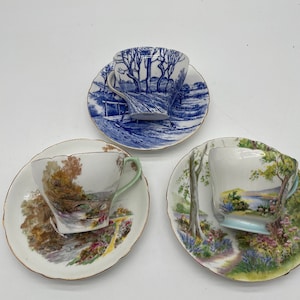 Shelley cup and saucer