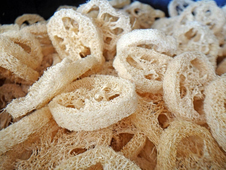 Passionate Natural Loofah Luffa Loofa Slices Bath Shower