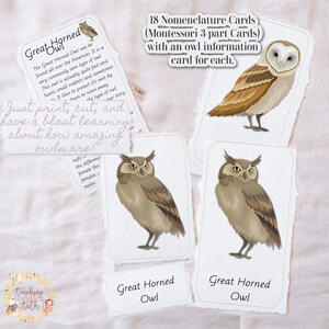 Hibou Montessori : des cartes en 3 parties pour les amateurs de chouettes et des cartes d'informations pour chaque chouette !