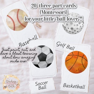 Printable 3 Part Cards for Sports Lovers | 10 Montessori Nomenclature Cards