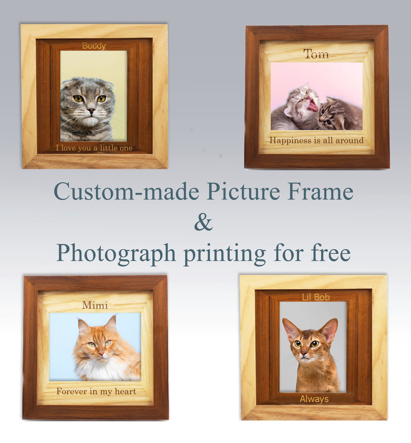 Cat Remembrance Personalised Engraved frame/cat memorial Etsy