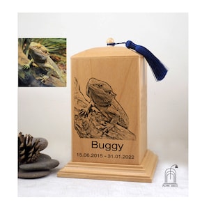 Könnte beinhalten: Eine hölzerne Tierurne mit einem blauen Quasten. Die Urne ist mit einem Laserbild eines Bartagamen und dem Text "Buggy 15.06.2015 - 31.01.2022" graviert.