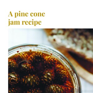 Puede incluir: Un tarro de vidrio lleno de mermelada de piñones de color marrón oscuro. La mermelada es espesa y tiene una consistencia rica y espesa. Los piñones son visibles en toda la mermelada, lo que le da una textura única.