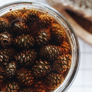 Puede incluir: Un frasco de vidrio lleno de piñas sumergidas en un líquido marrón oscuro. Las piñas son de color marrón claro y tienen una superficie texturizada.