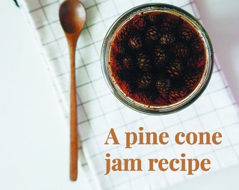 Pine cone jam recipe PDF, cooking guide download printable
