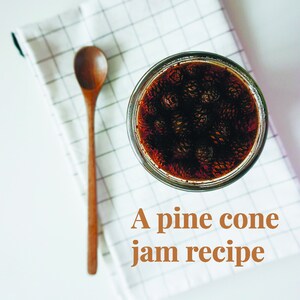 K&ouml;nnte beinhalten: Ein Glasgef&auml;&szlig; gef&uuml;llt mit einer dunkelbraunen Fl&uuml;ssigkeit und Tannenzapfen. Der Text "A pine cone jam recipe" steht unter dem Glas.