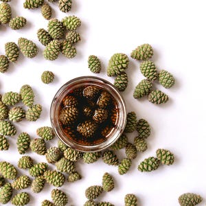 Handmade natural pine cones jam