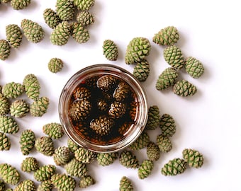 Handmade natural pine cones jam