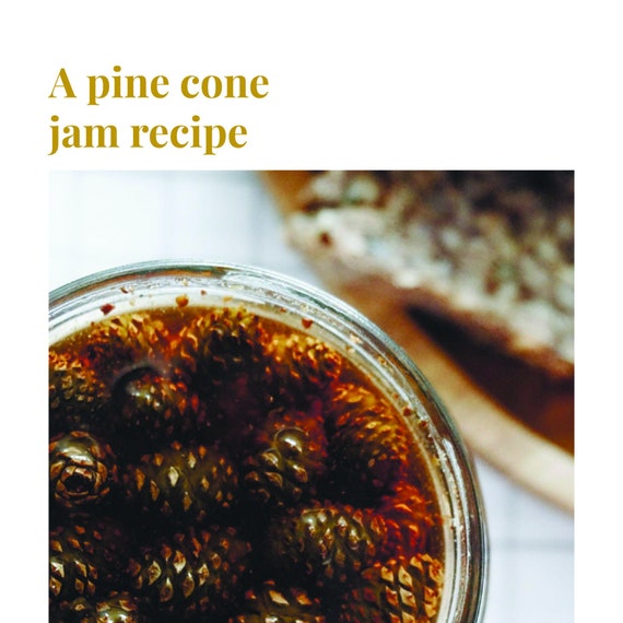 Pine cone jam recipe PDF, cooking guide