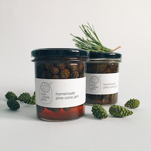 Handmade natural pine cone jam