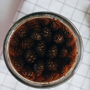 K&ouml;nnte beinhalten: Ein Glasgef&auml;&szlig; gef&uuml;llt mit einer dunkelbraunen Fl&uuml;ssigkeit und vielen kleinen, braunen Tannenzapfen.