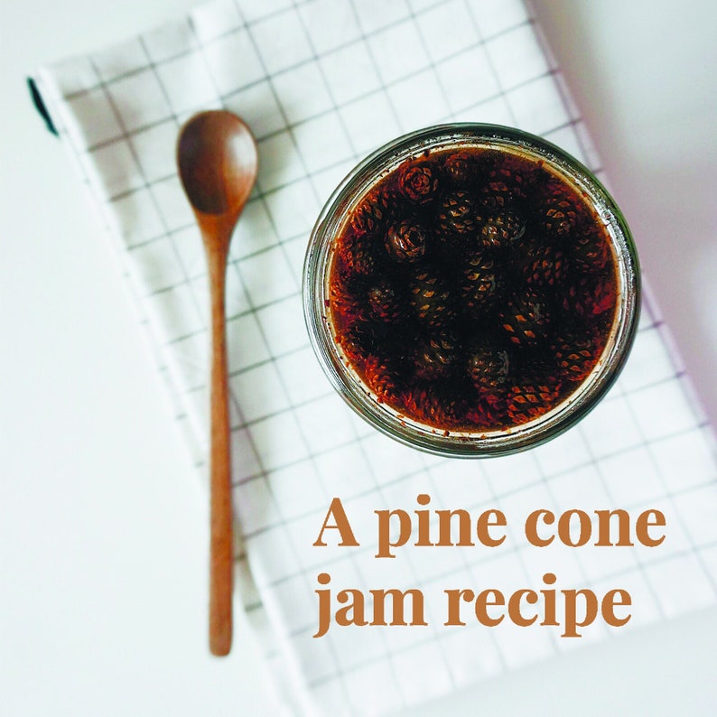 K&ouml;nnte beinhalten: Ein Glasgef&auml;&szlig; gef&uuml;llt mit einer dunkelbraunen Fl&uuml;ssigkeit und Tannenzapfen. Der Text "A pine cone jam recipe" steht unter dem Glas.